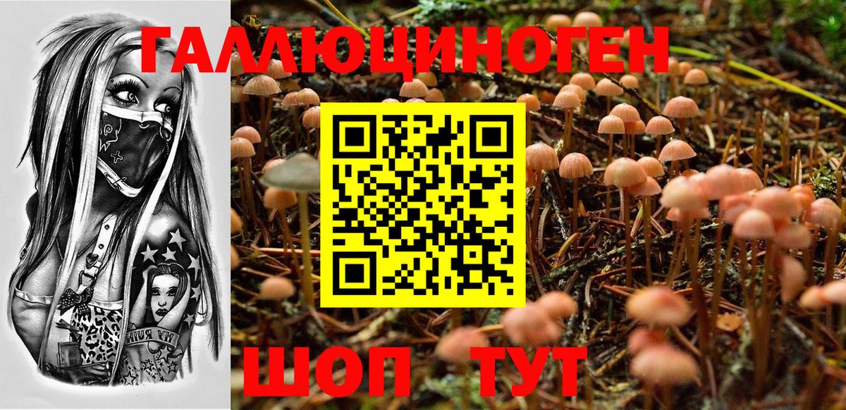 Алейск  Галлюциногенные грибы мицелий  Вход с VPN 