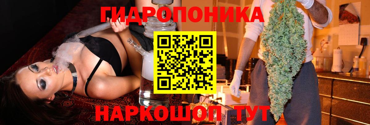 Каннабис MAZAR Алейск